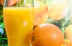 Orange and Basil Juice Recipe